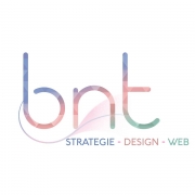 BNT Consulting