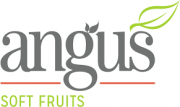Angus Soft Fruit